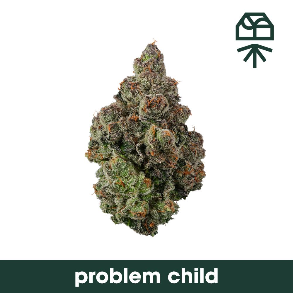 Problem Child