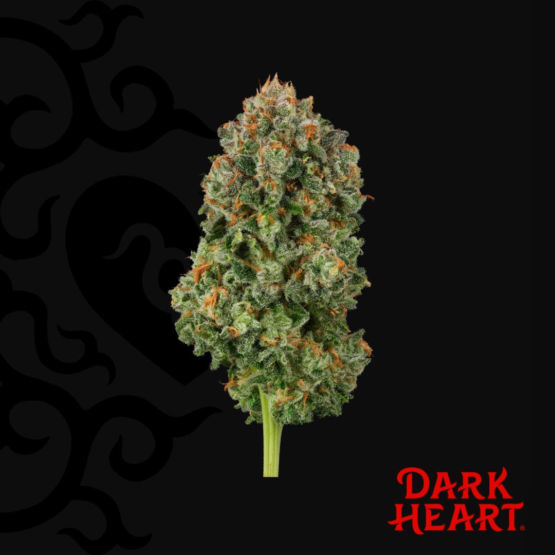 Dark Heart Collection Whole Flower 3.5g Blackened Blue (S) 01893 TC 25.034%