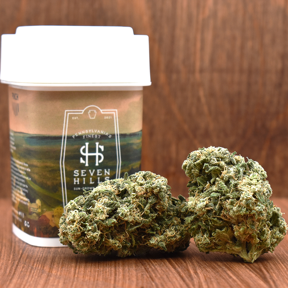 Bodhi Tree Seven Hills Smalls Jane