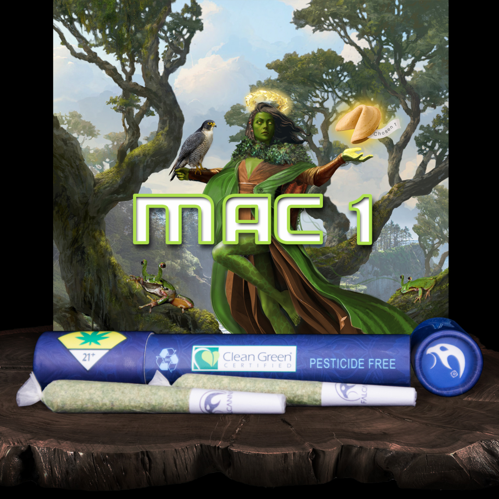 Mac 1