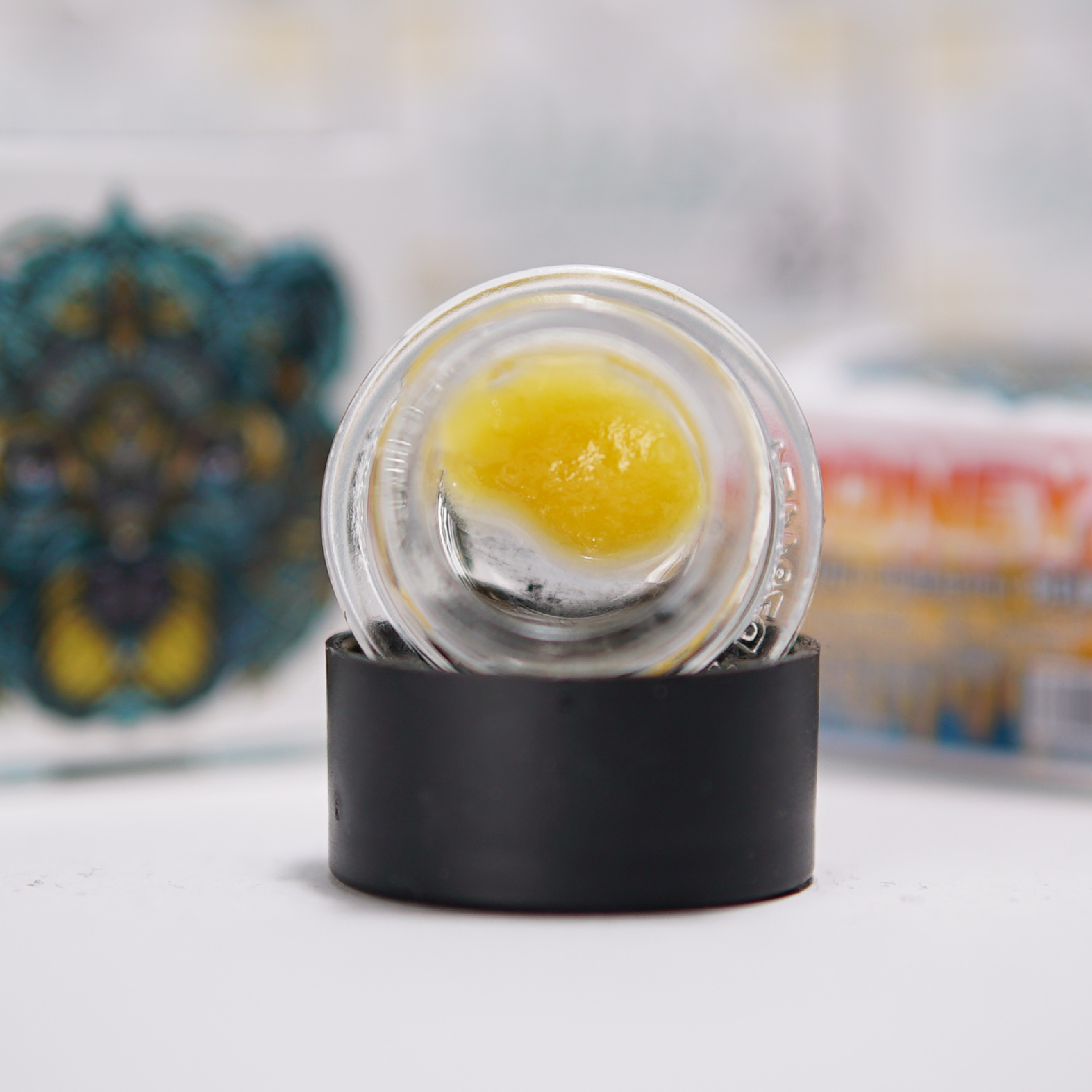 Shop Jelly Donutz x Peach | Jane