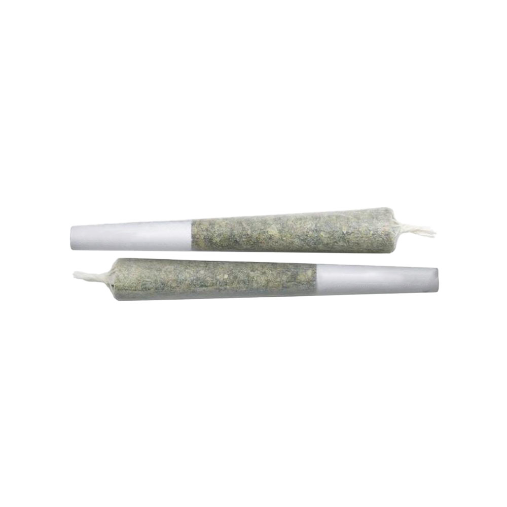 Butterscotch Willy [.5g] matter. 2 Pack Pre Roll Jane