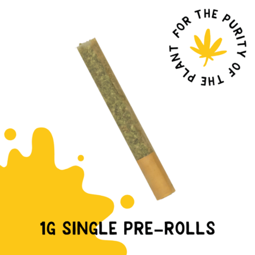 SAUS - J. Fruit (S) Infused Pre-Roll 1pk (1g) C0140000349