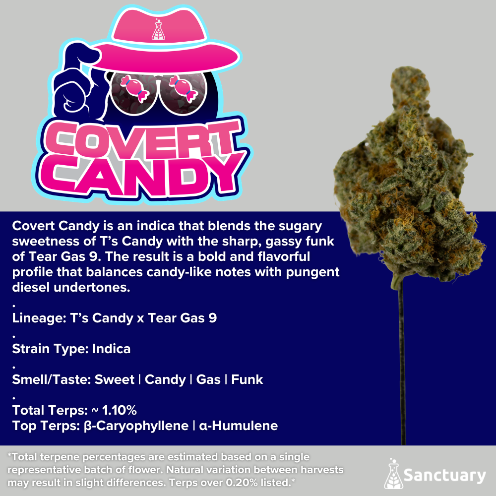 Whole Buds - Covert Candy