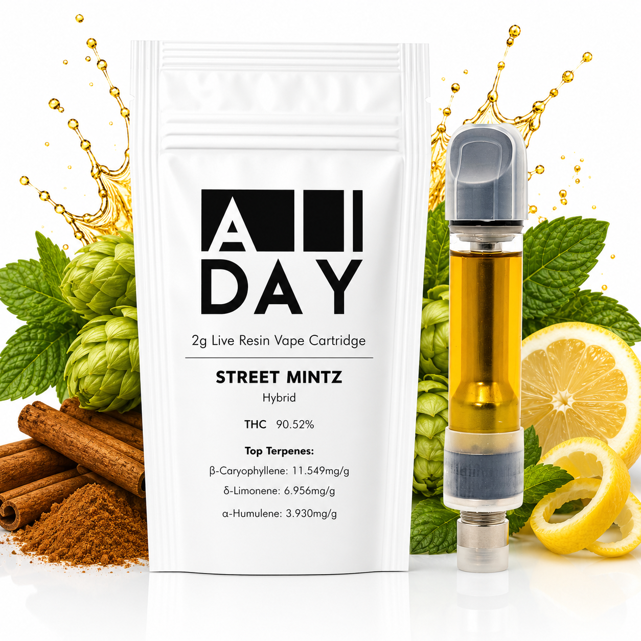Street Mintz [2g]