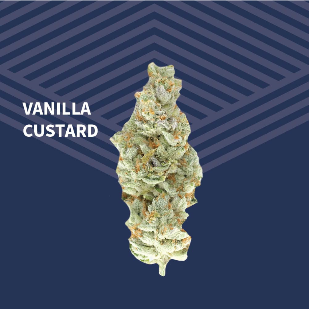 Vanilla Custard