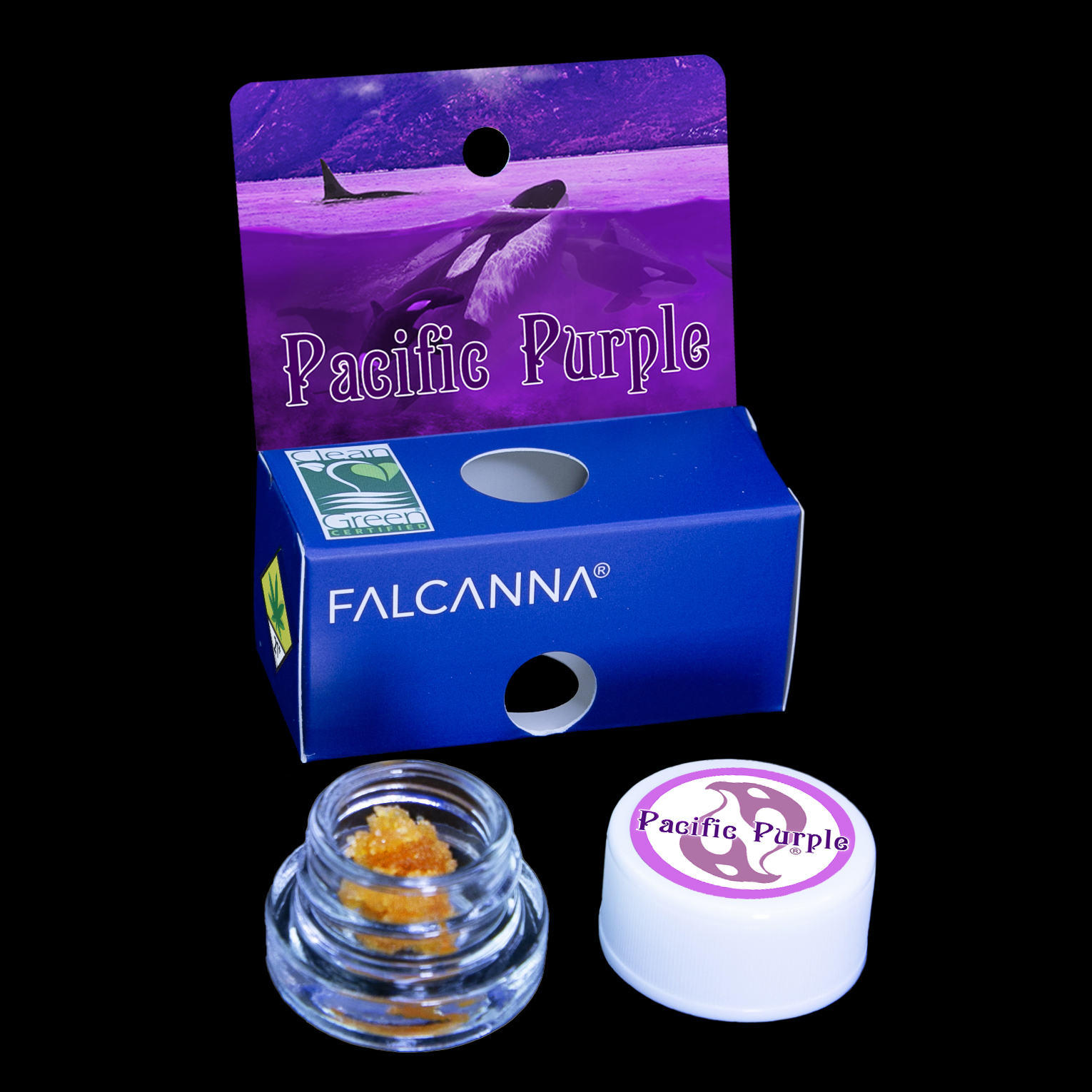 Pacific Purple Cold Cured Sugar Wax