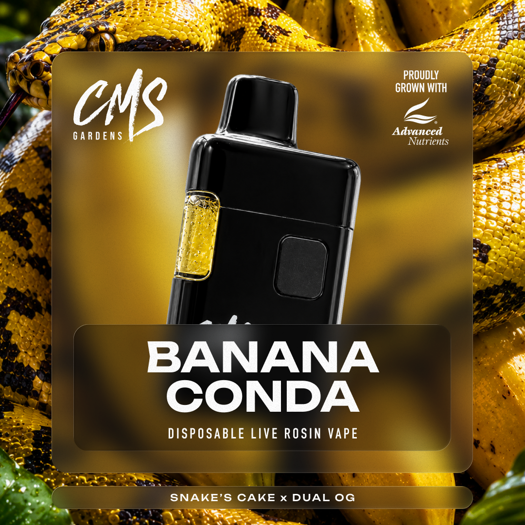 product card