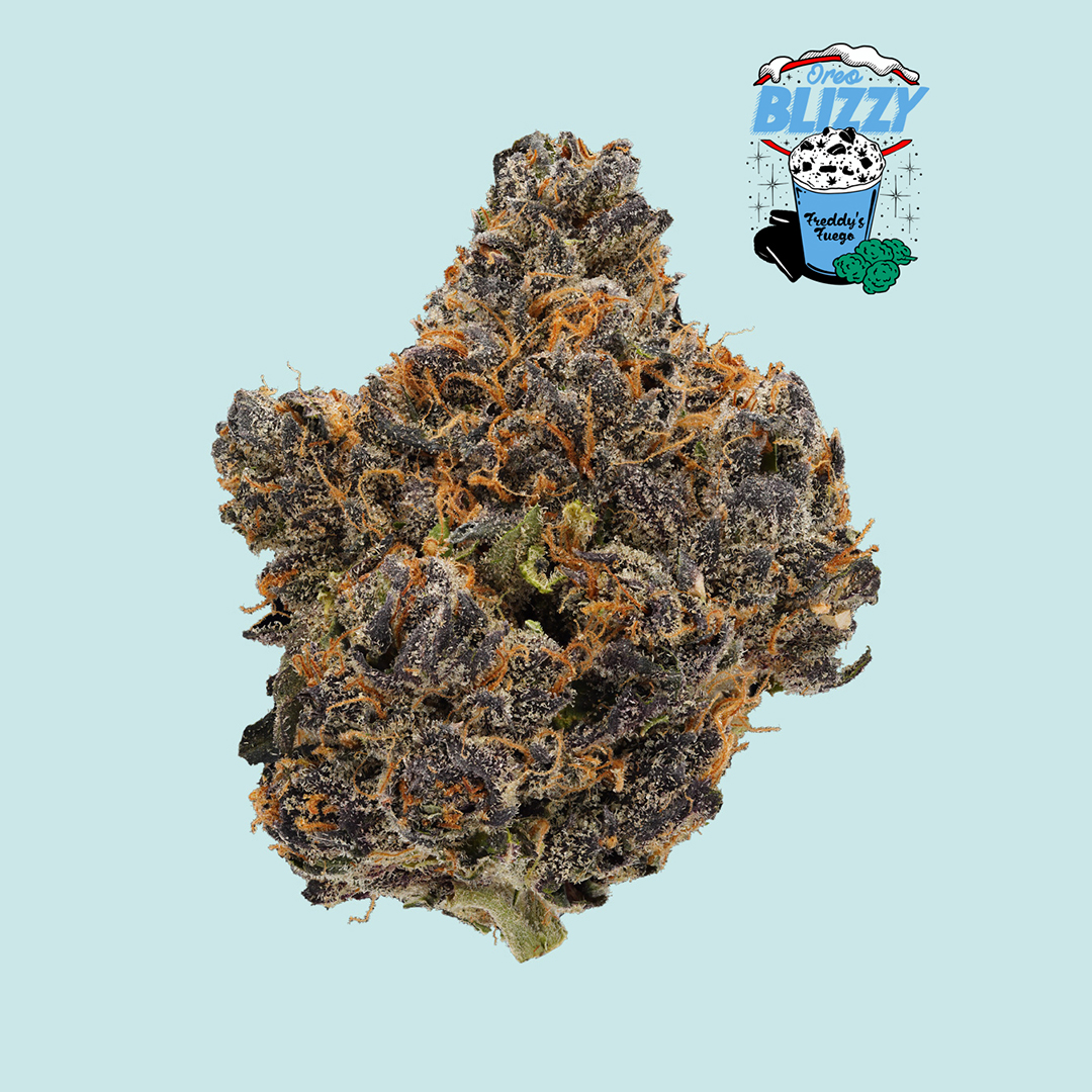 Cream Cookie Blizzy
