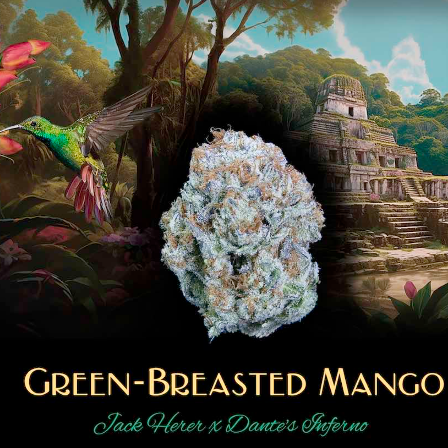 Green-Breasted Mango