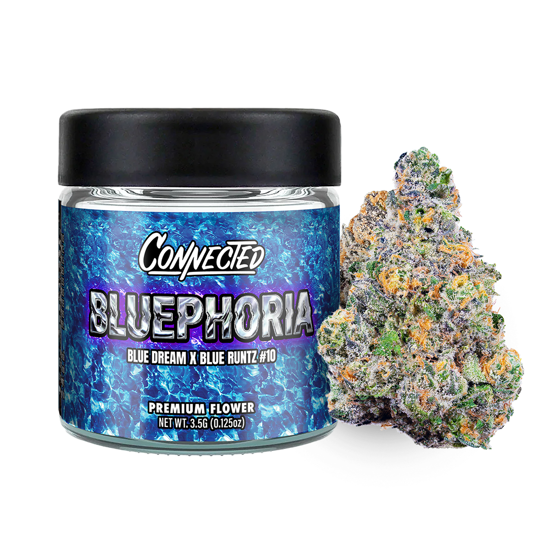 Bluephoria Bluephoria