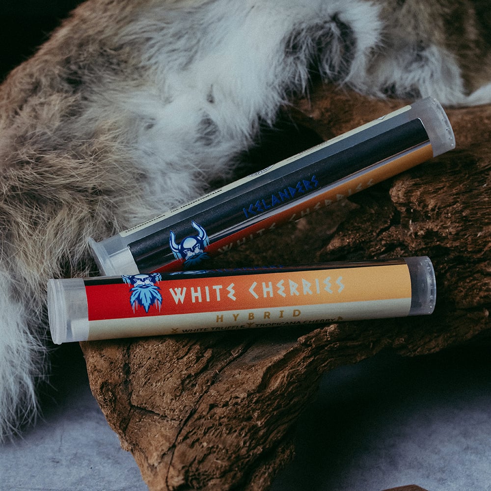 White Cherries [.5g]