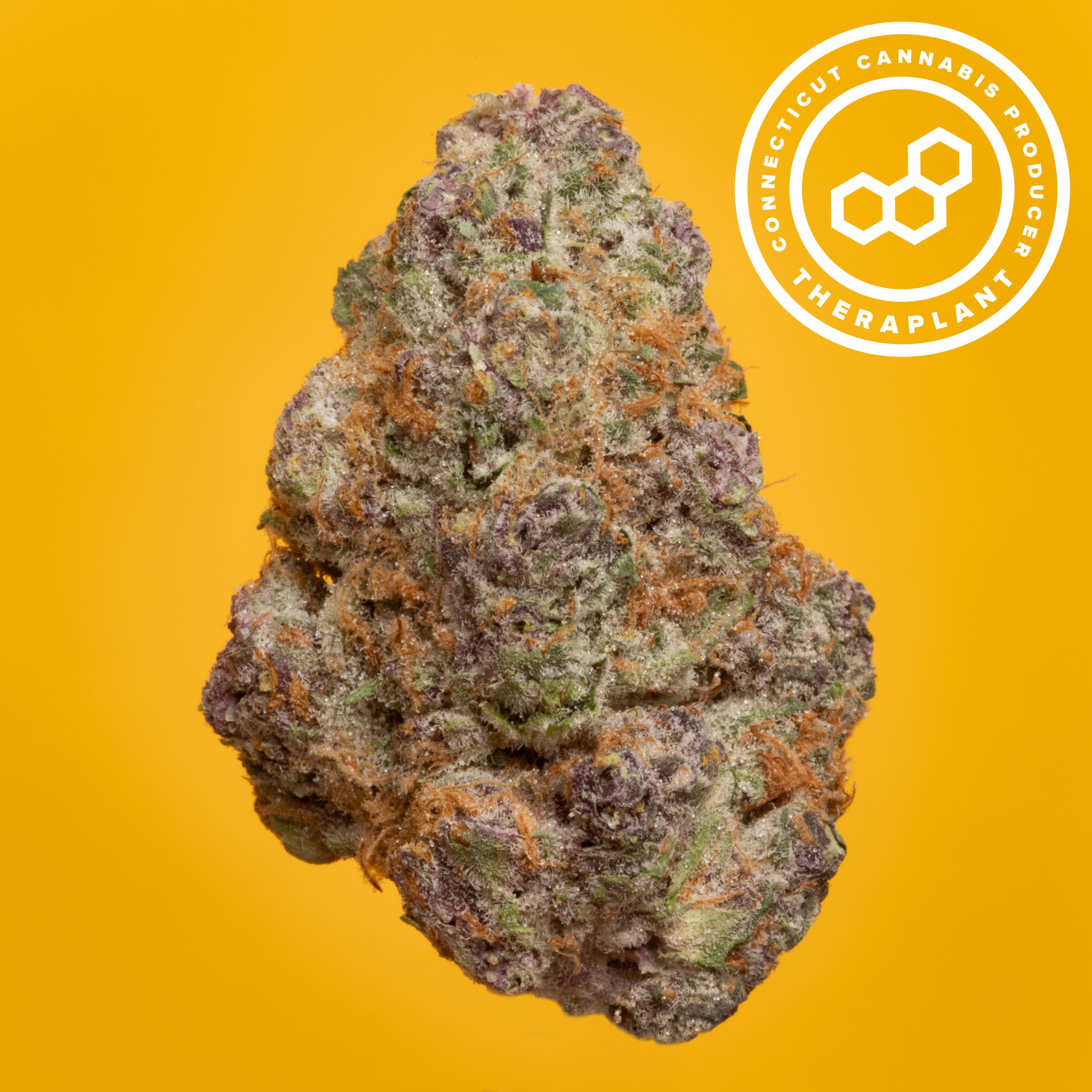 Theraplant - Super Buff (S) Flower  C0040001388