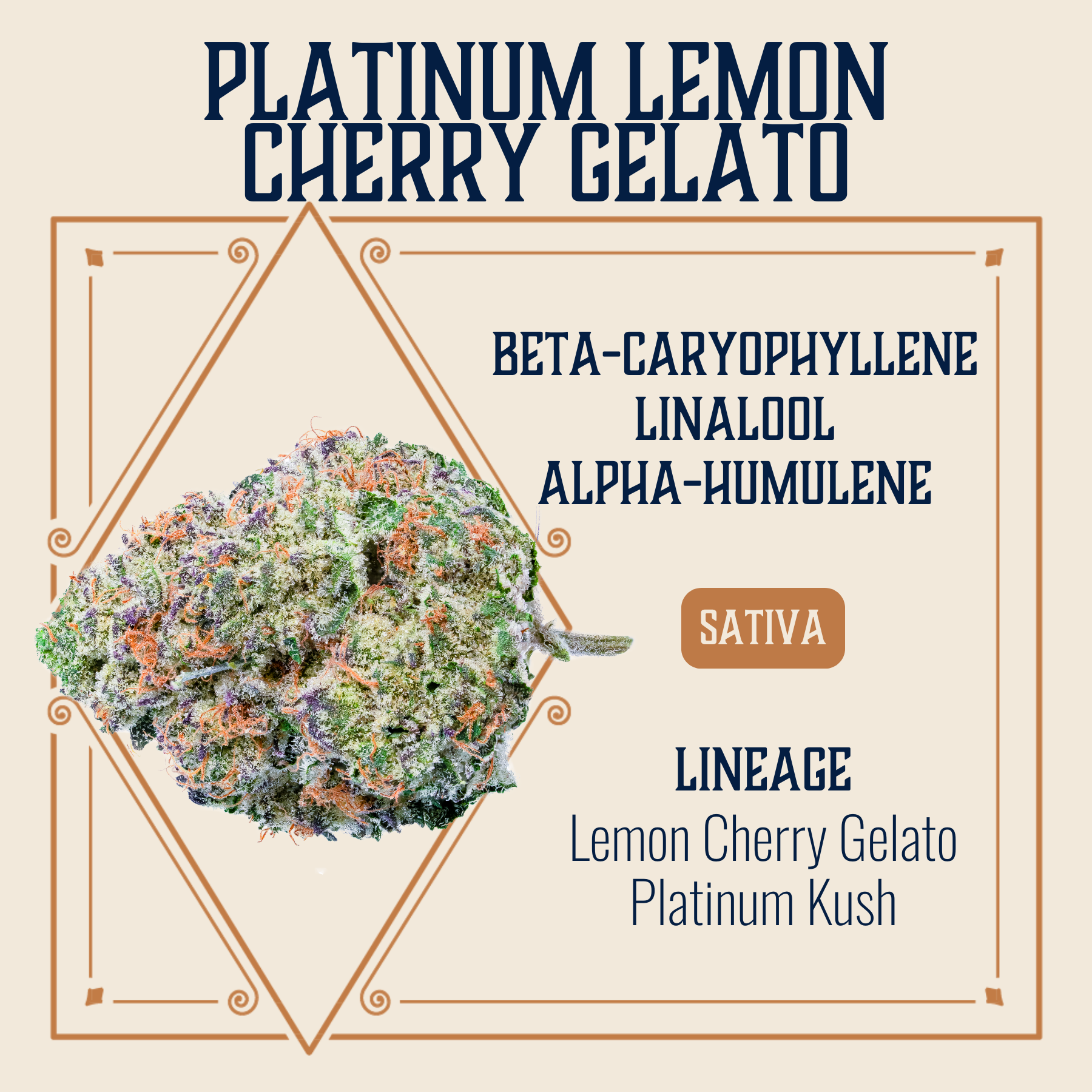 Platinum Lemon Cherry Gelato