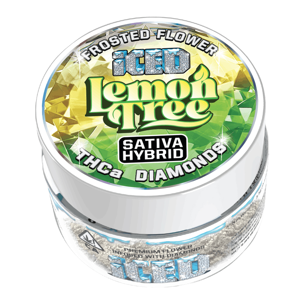 Lemon Tree Lemon Tree