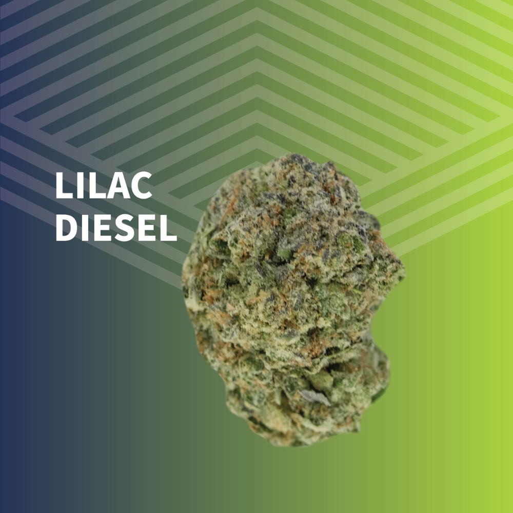 Value Lilac Diesel
