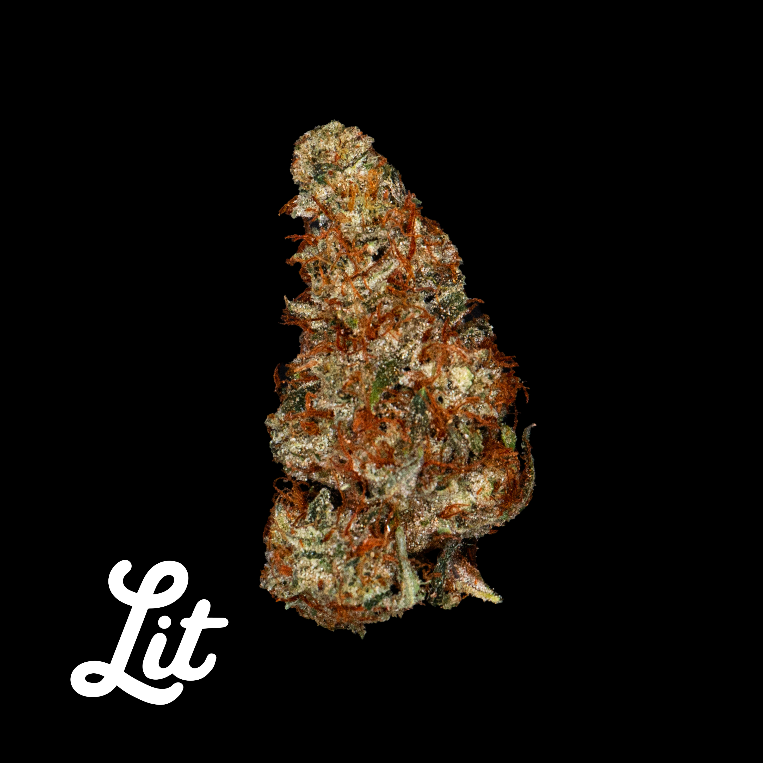 Jet Fuel