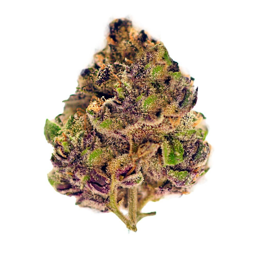 Shop Cereal Milk | River Bluff Cannabis Dispensary Roselle, IL