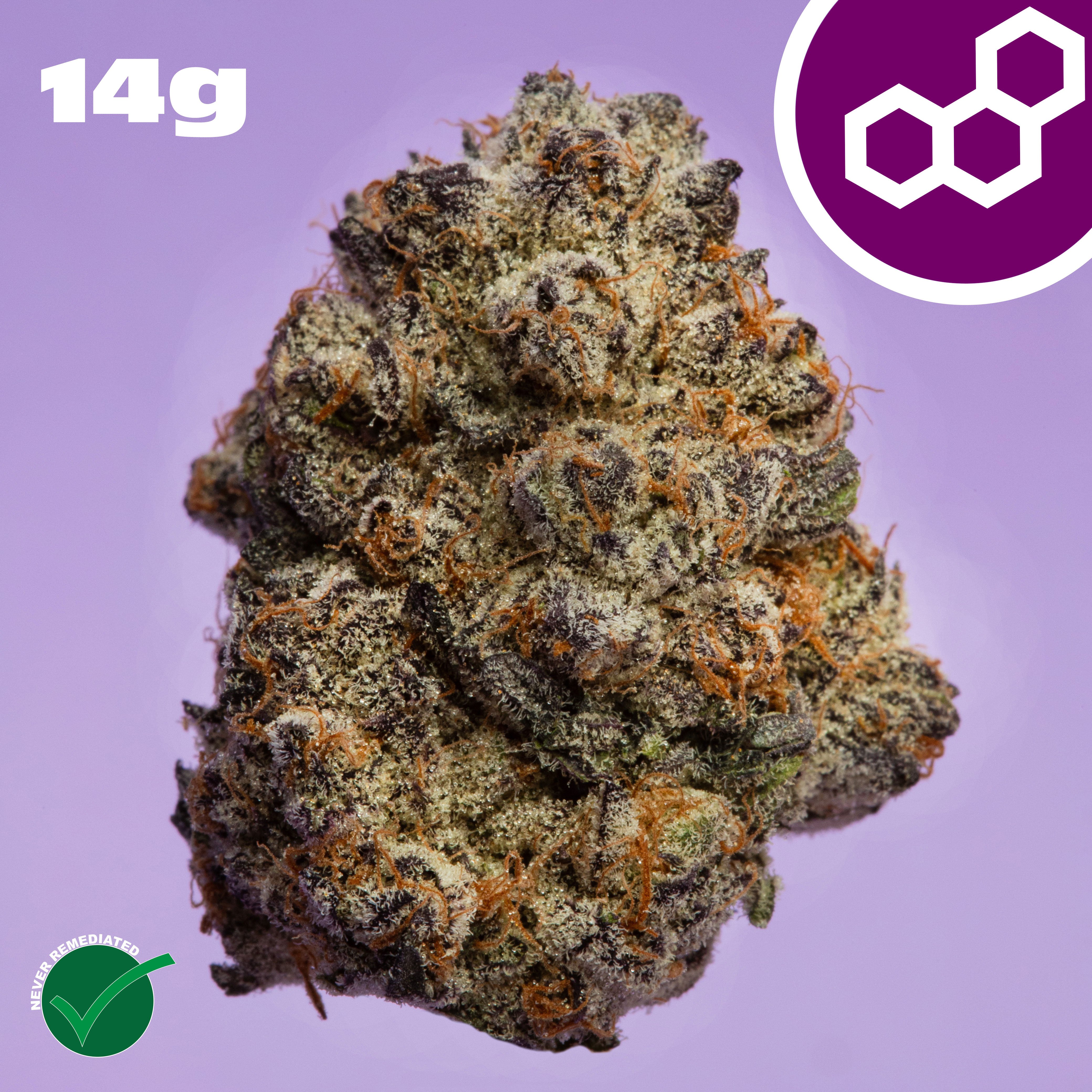 Theraplant - Jelly Roll (I) Flower  C0040001476