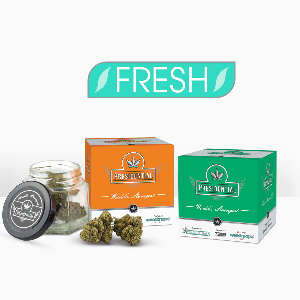 Gorilla Goo Gorilla Goo