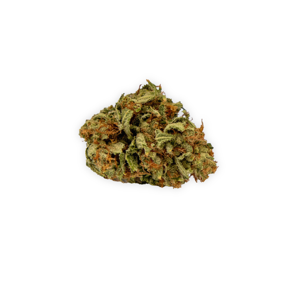 Candy Glue Vireo Whole Flower Jane
