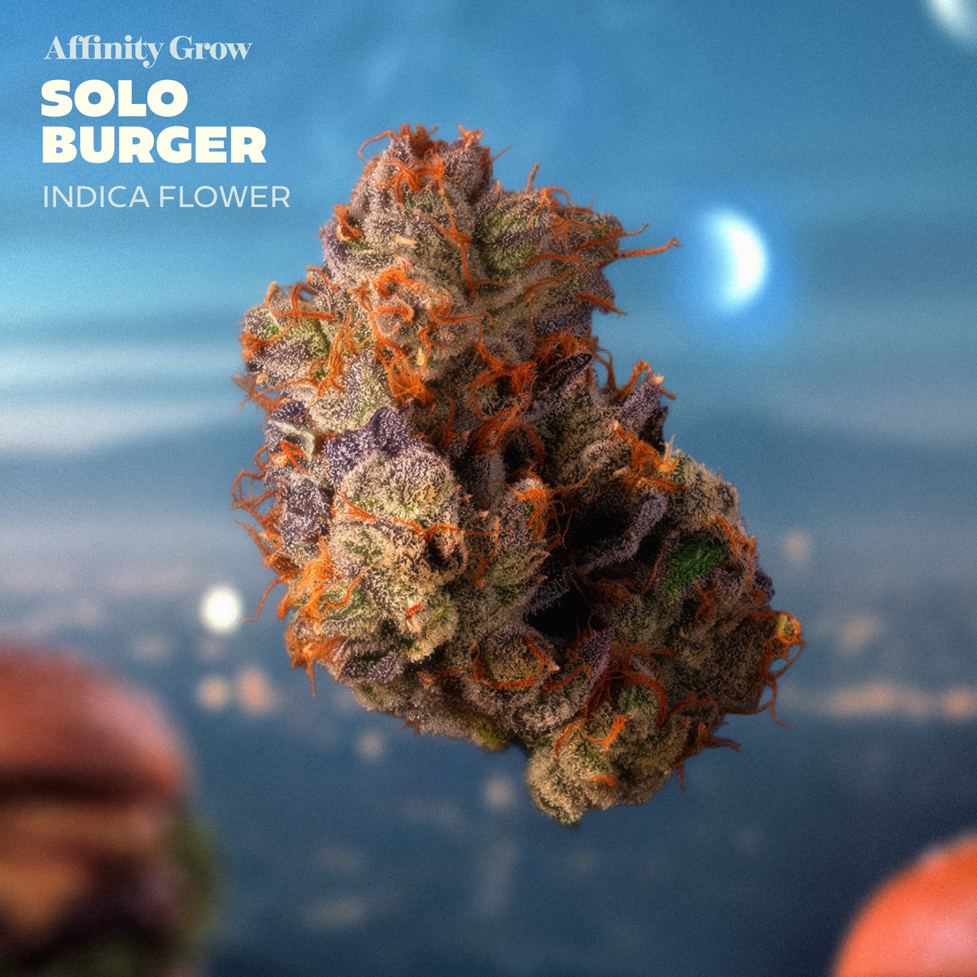 Affinity Grow - Solo Burger (I) Flower  C0090000907
