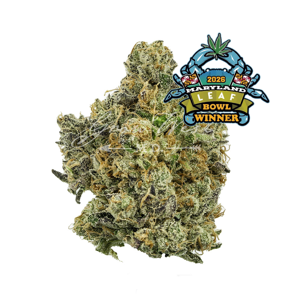 Electric Berry Bliss Wildflower