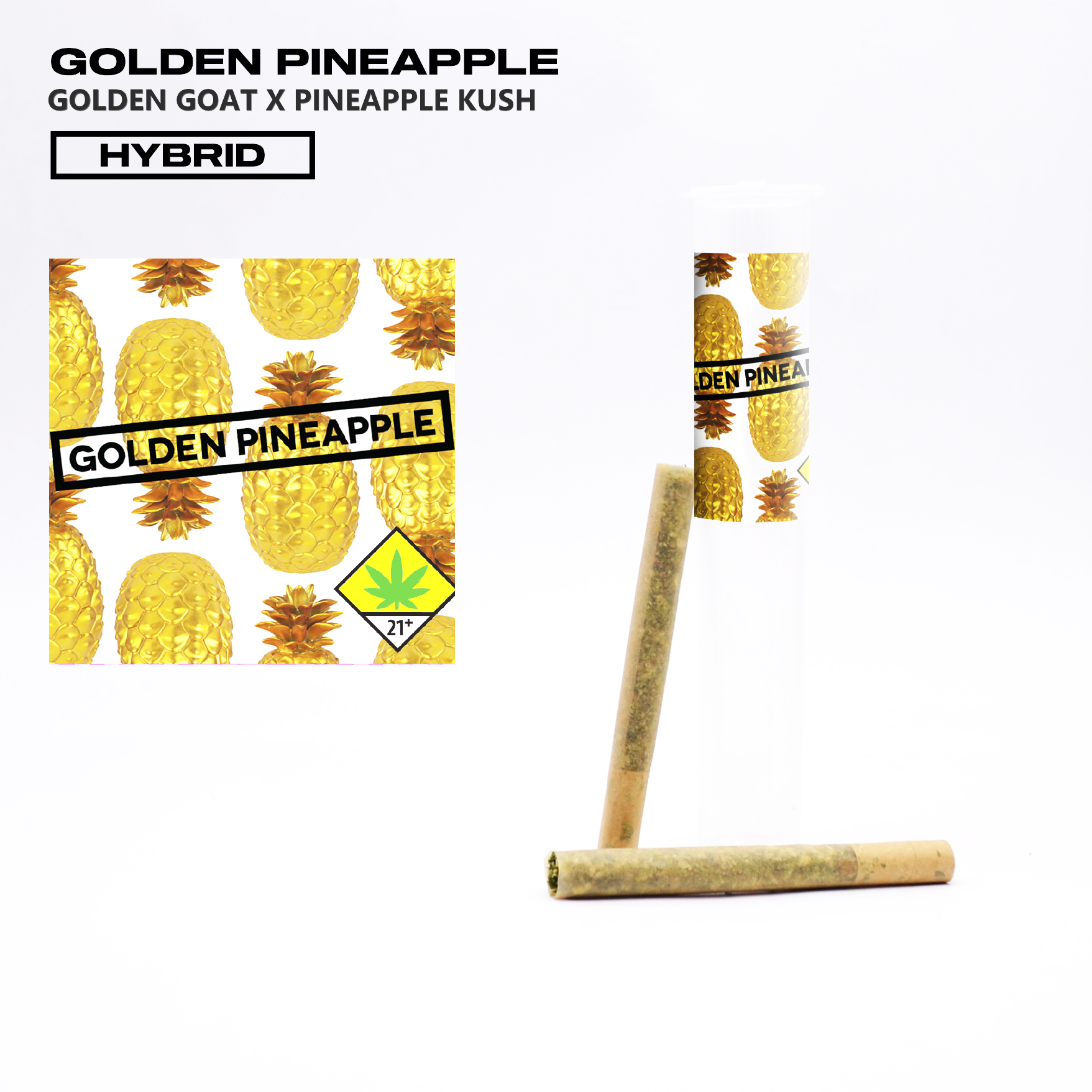 Golden Pineapple Mega Roll 10g