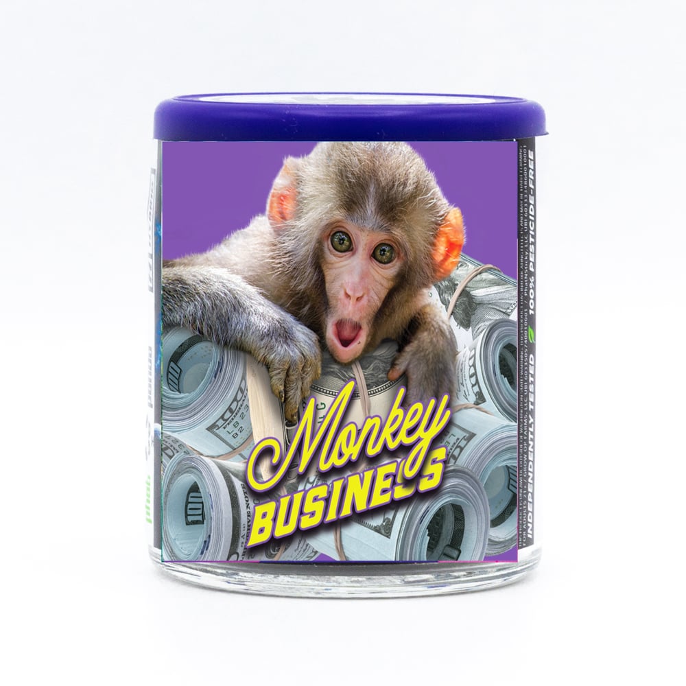 Monkey Business Monkey Business