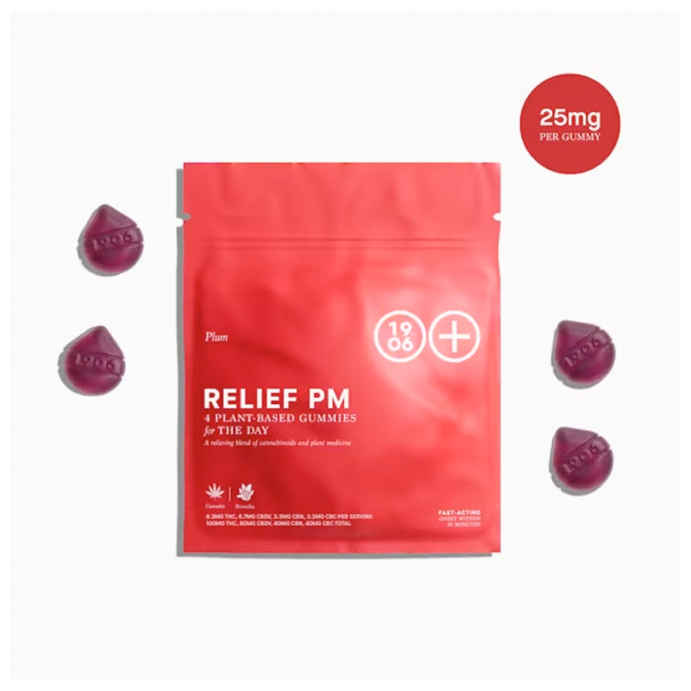 RELIEF PM for Pain