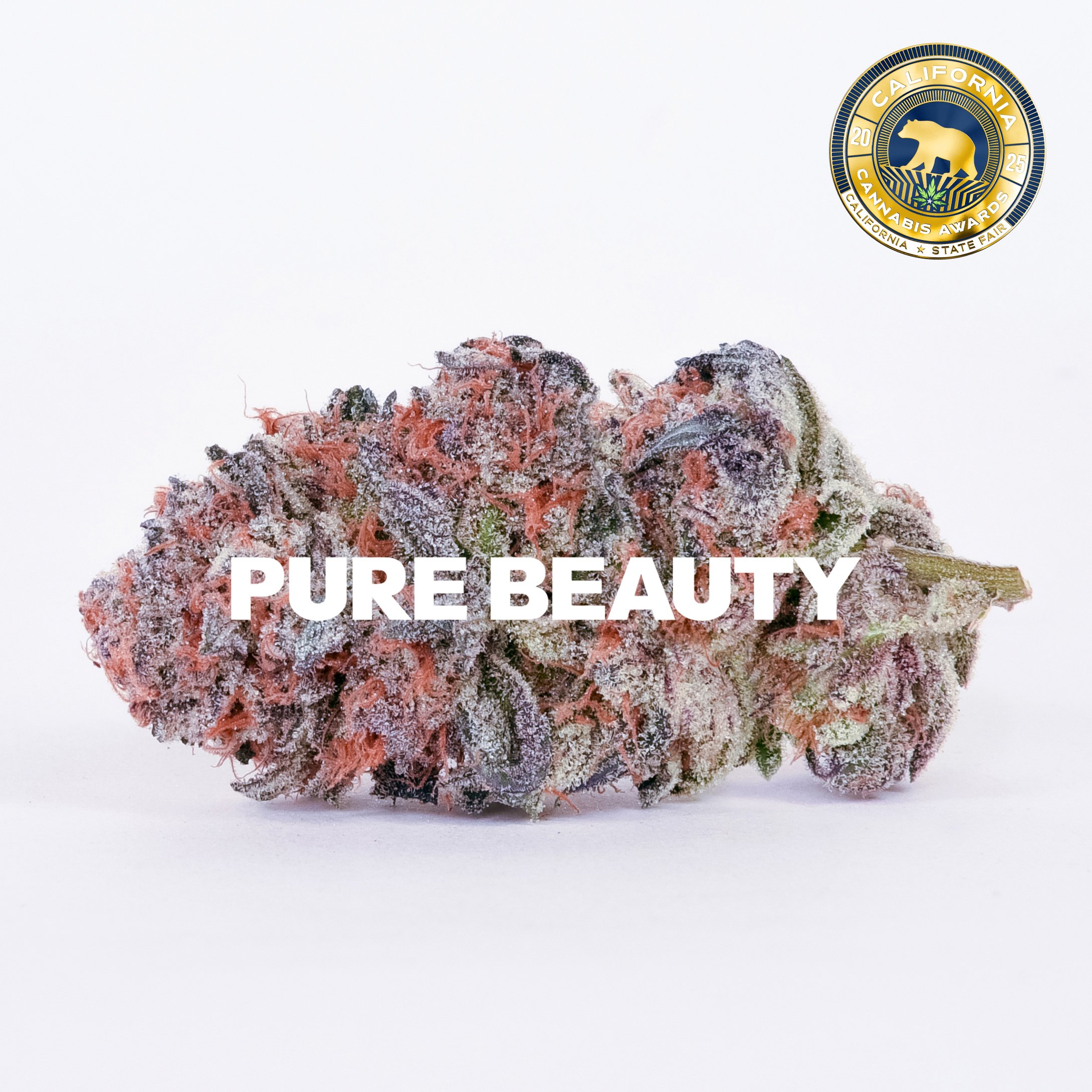 1:1 Gush Mints 1:1 Gush Mints