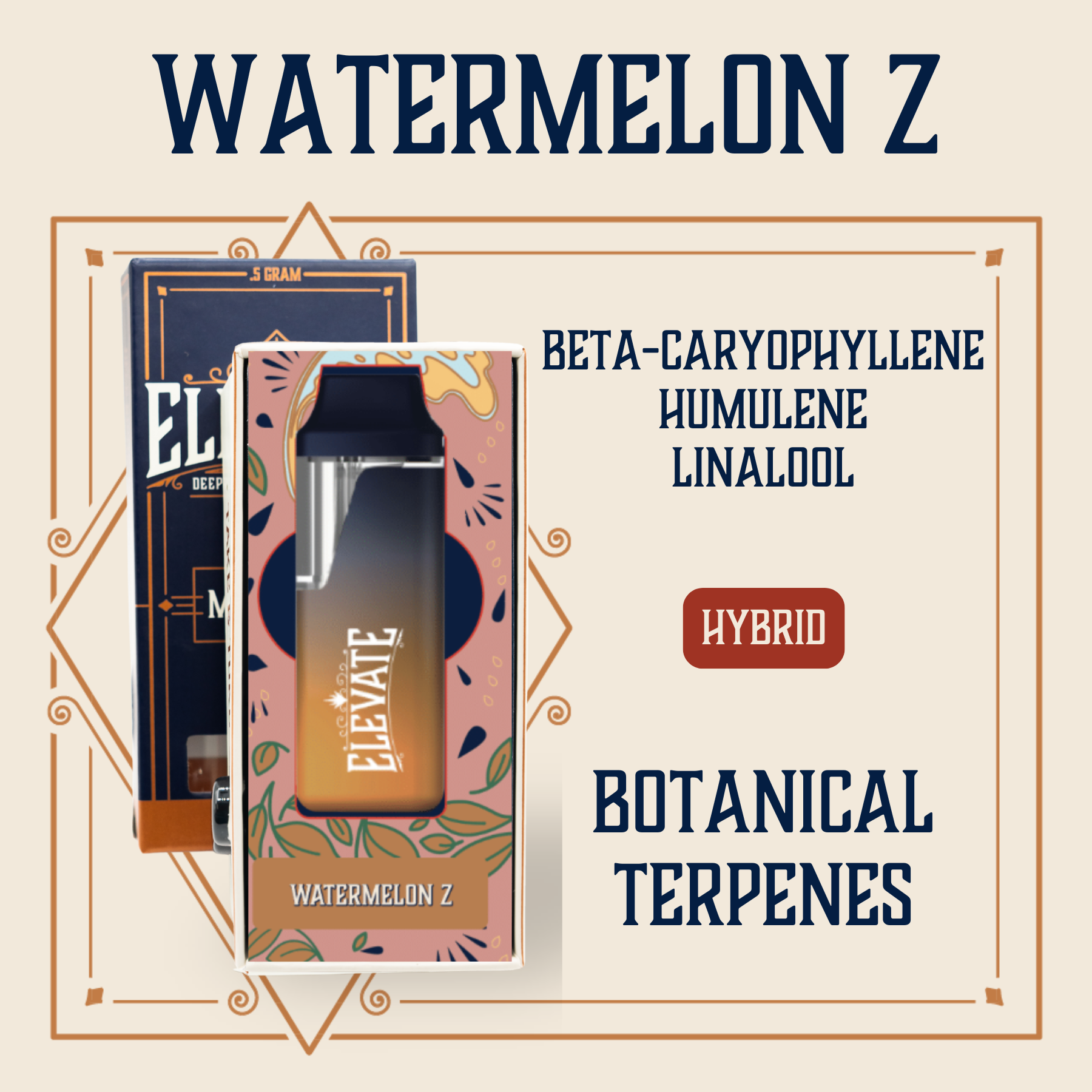 product card