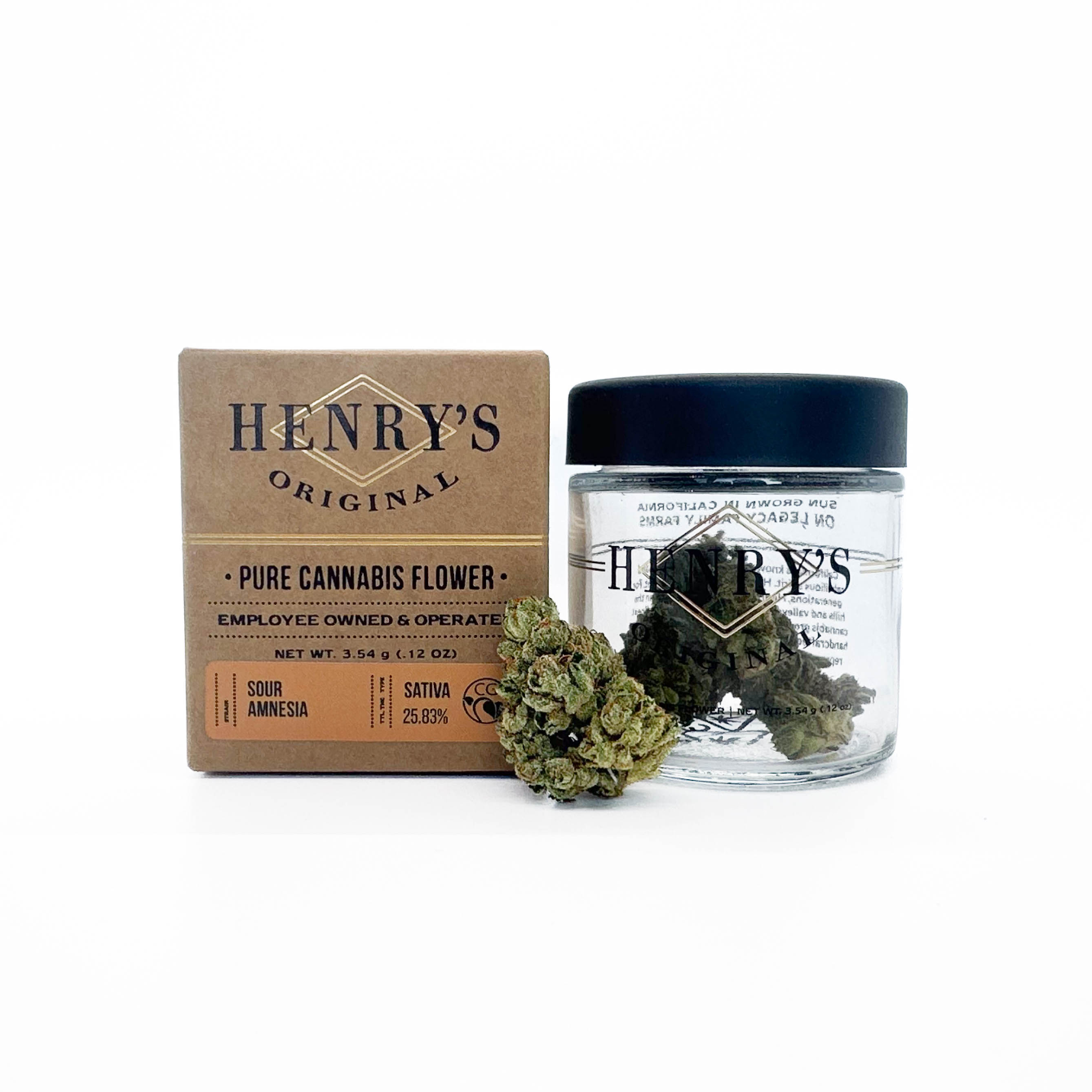 Sour Amnesia Sour Amnesia