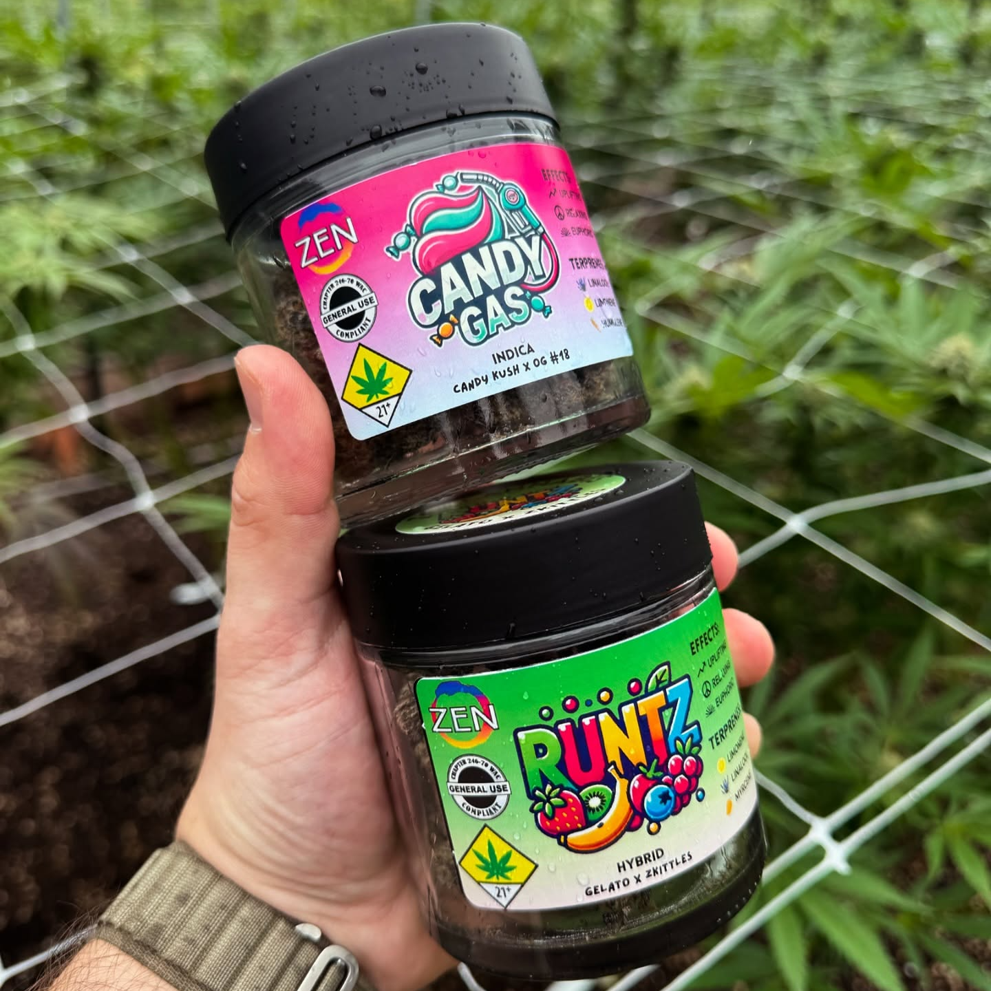 Shop Too Much Lime | The Happy Crop Shoppe Cashmere