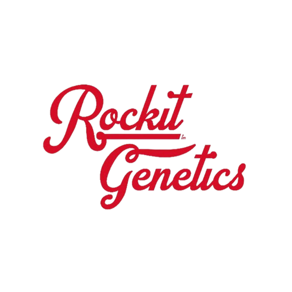 Jupiter Jack x Sour Secret [2.5g]