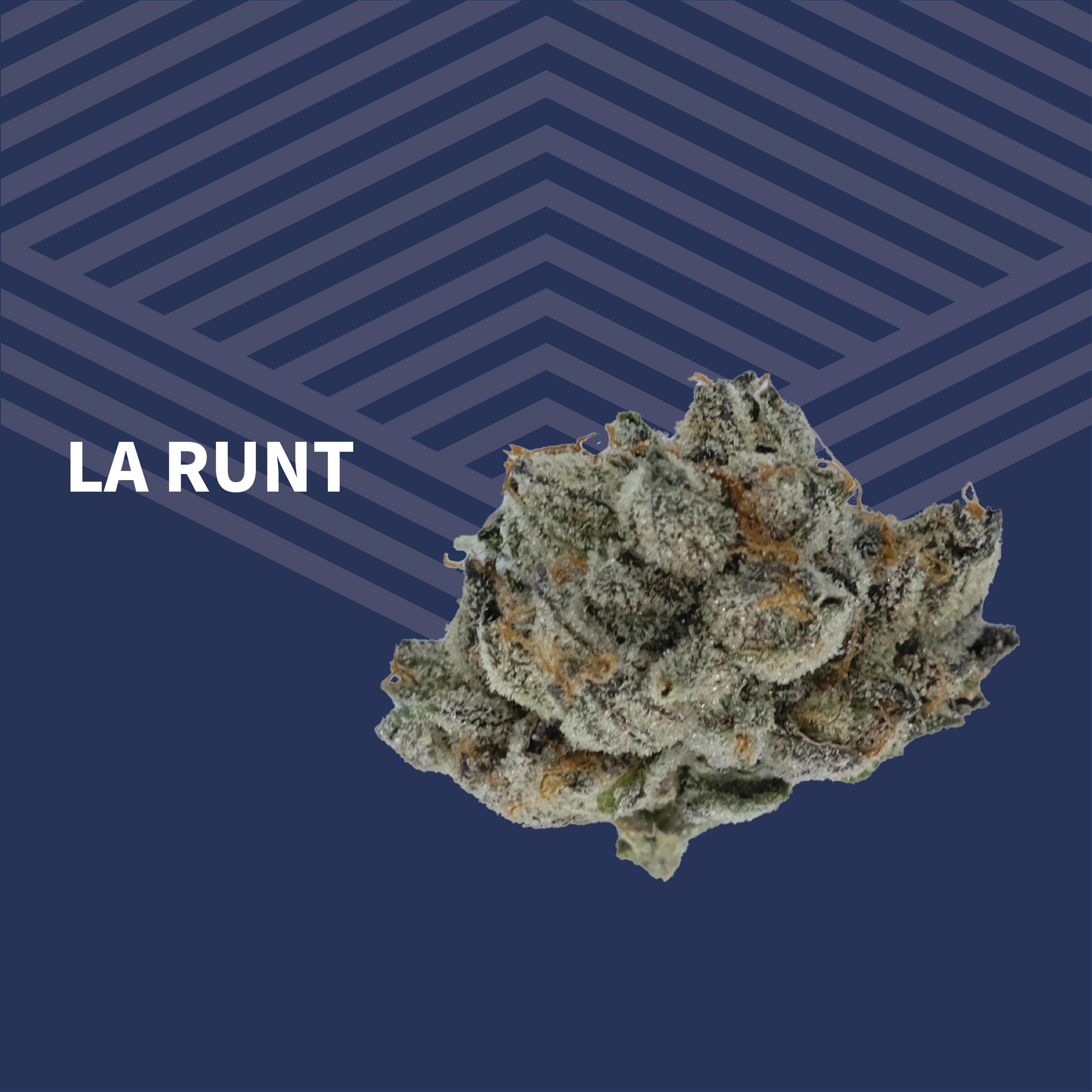LA Runt - 1oz in Williston