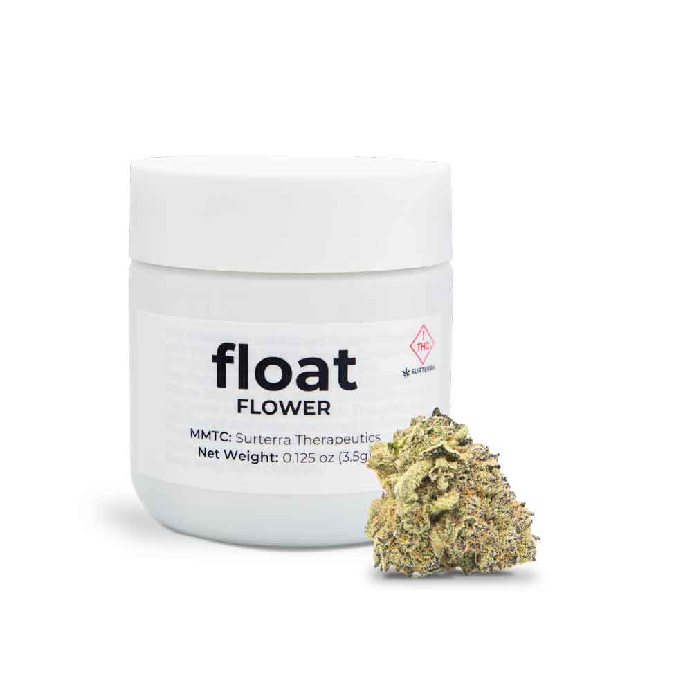 Ice Cream Social Float Premium Indoor Flower Jane