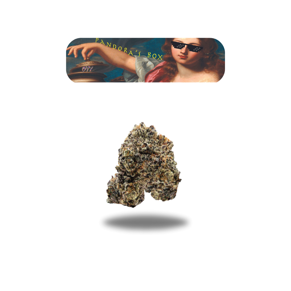おすすめ Flower Cannabis Premium in Lotus Purple | Jose San ウェア