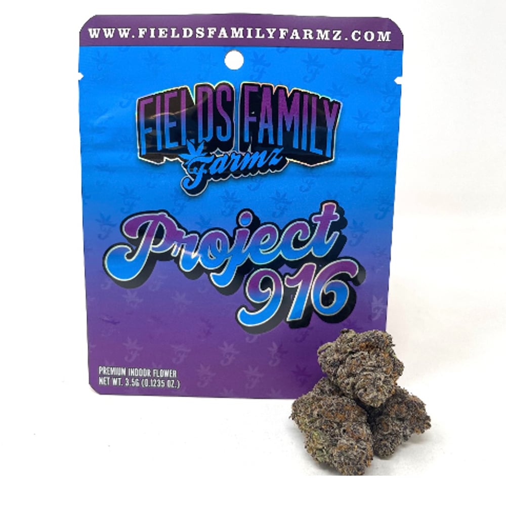 Project 916