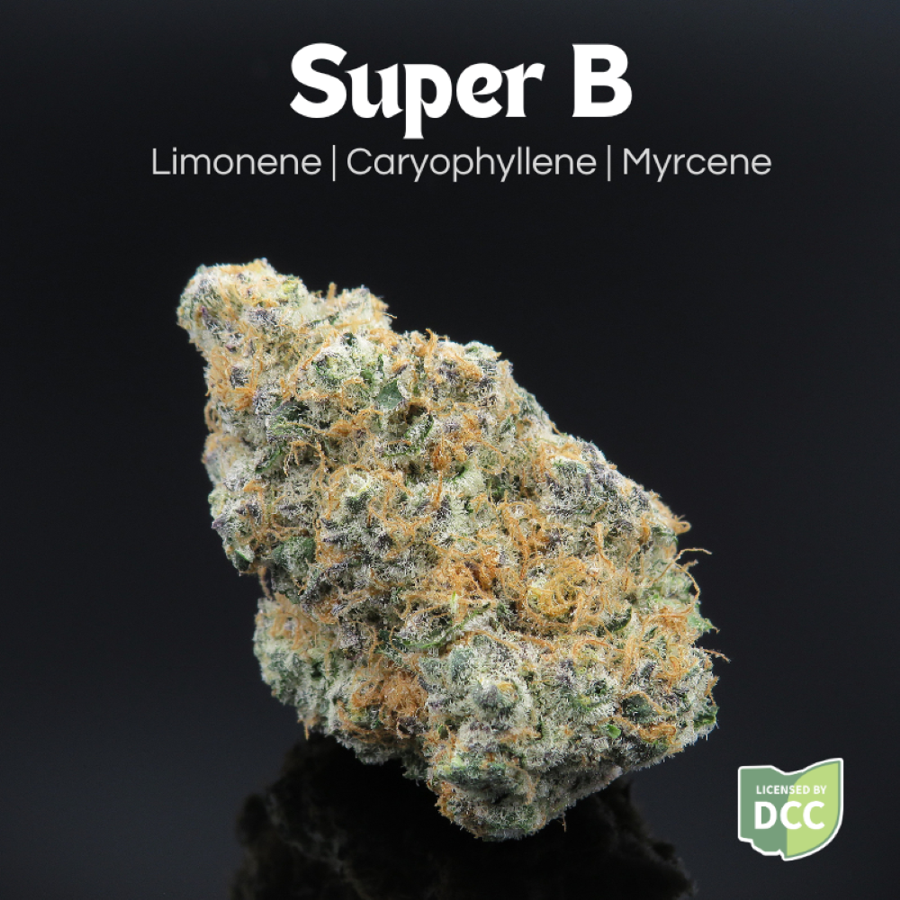 FARKAS FARMS - SUPER B  HYBRID