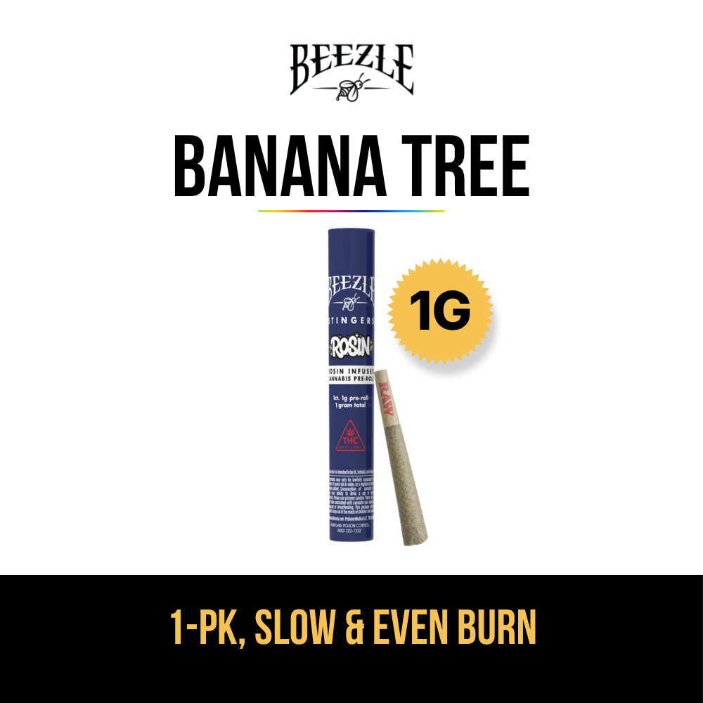 Banana Tree [1g]