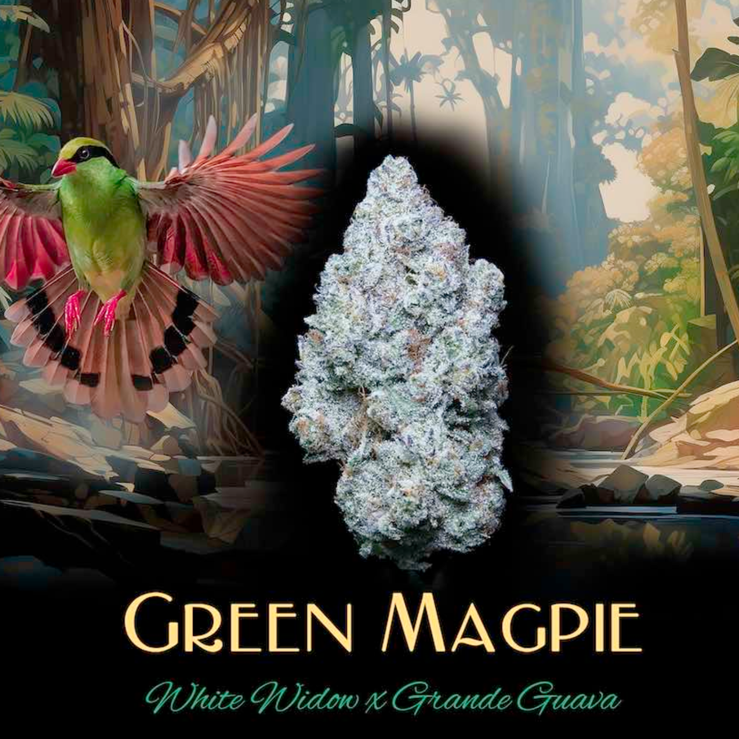 Green Magpie