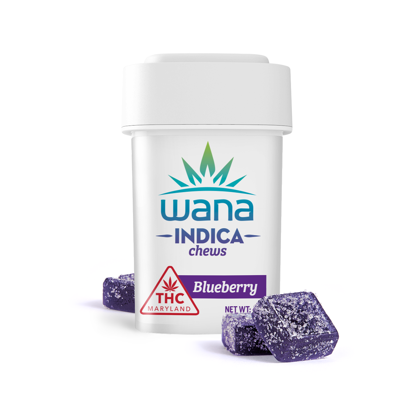 Classic Blueberry Indica