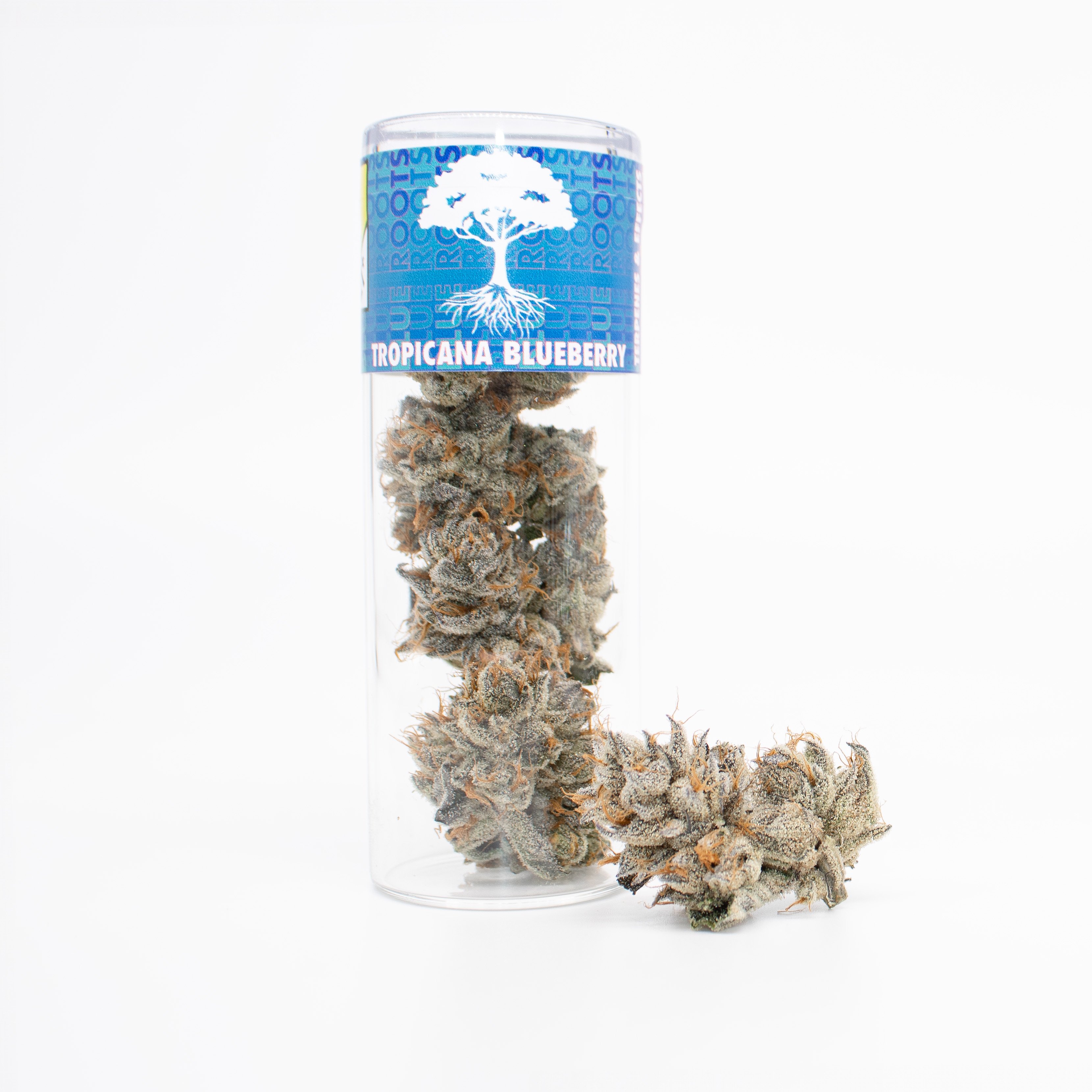 Tropicana Blueberry
