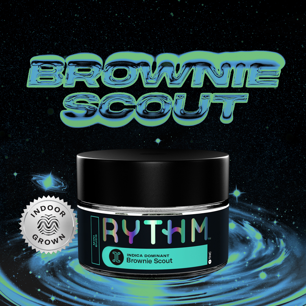 Brownie Scout - Relax