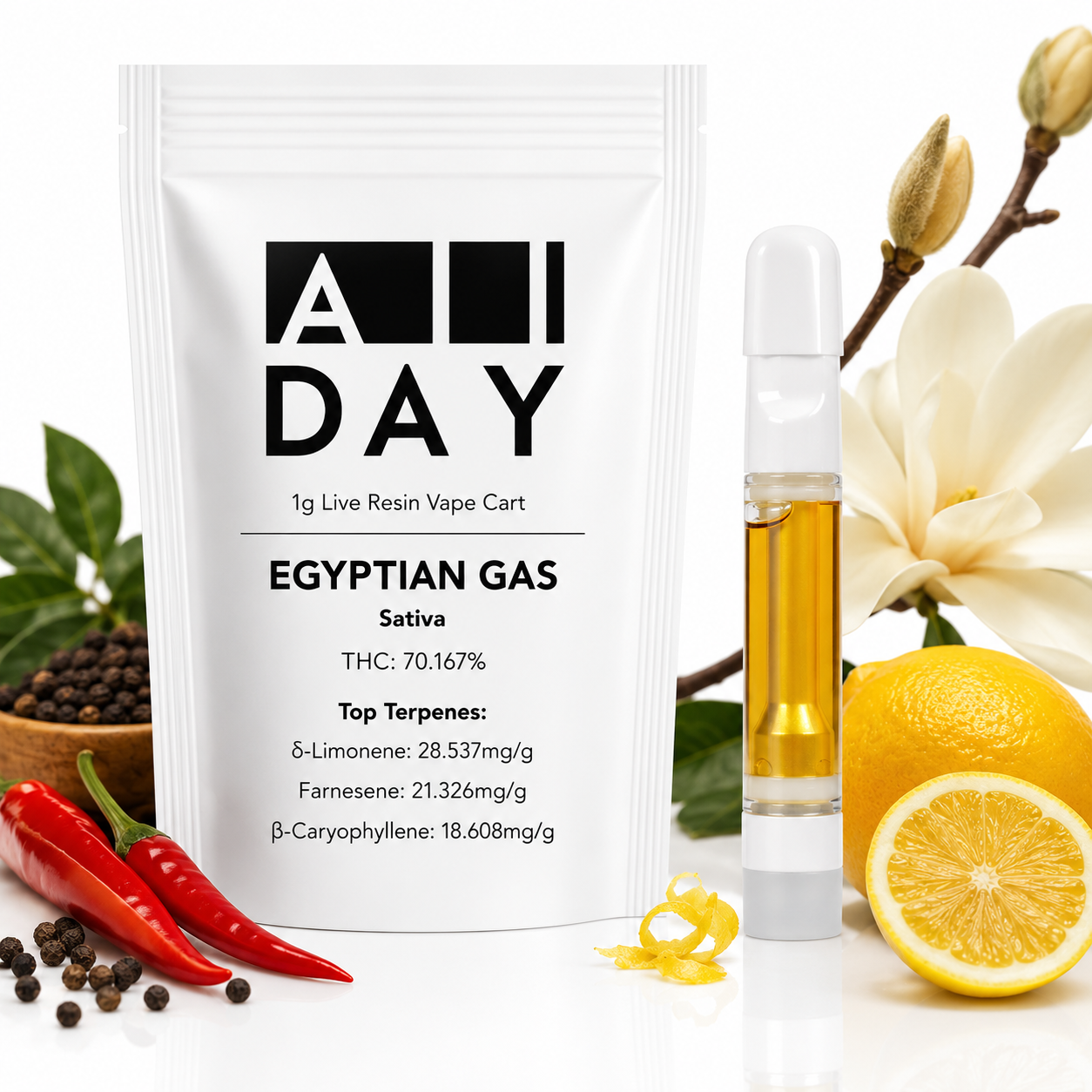Egyptian Gas