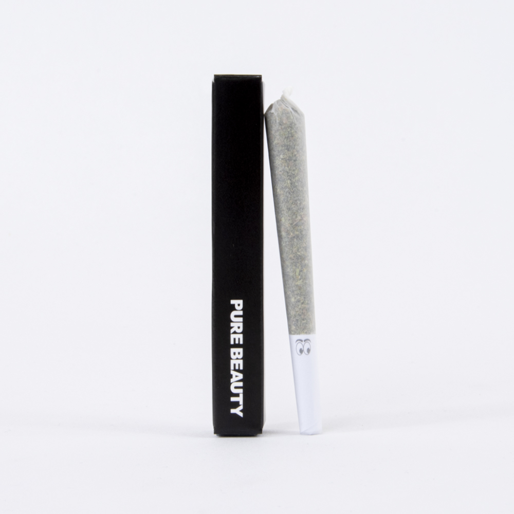 Spritzer - 1g Pre Roll