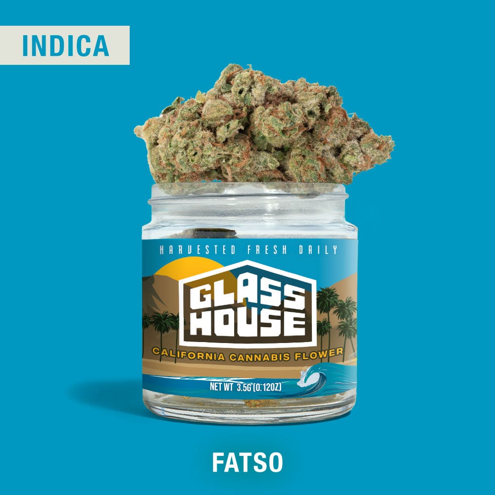 Fatso
