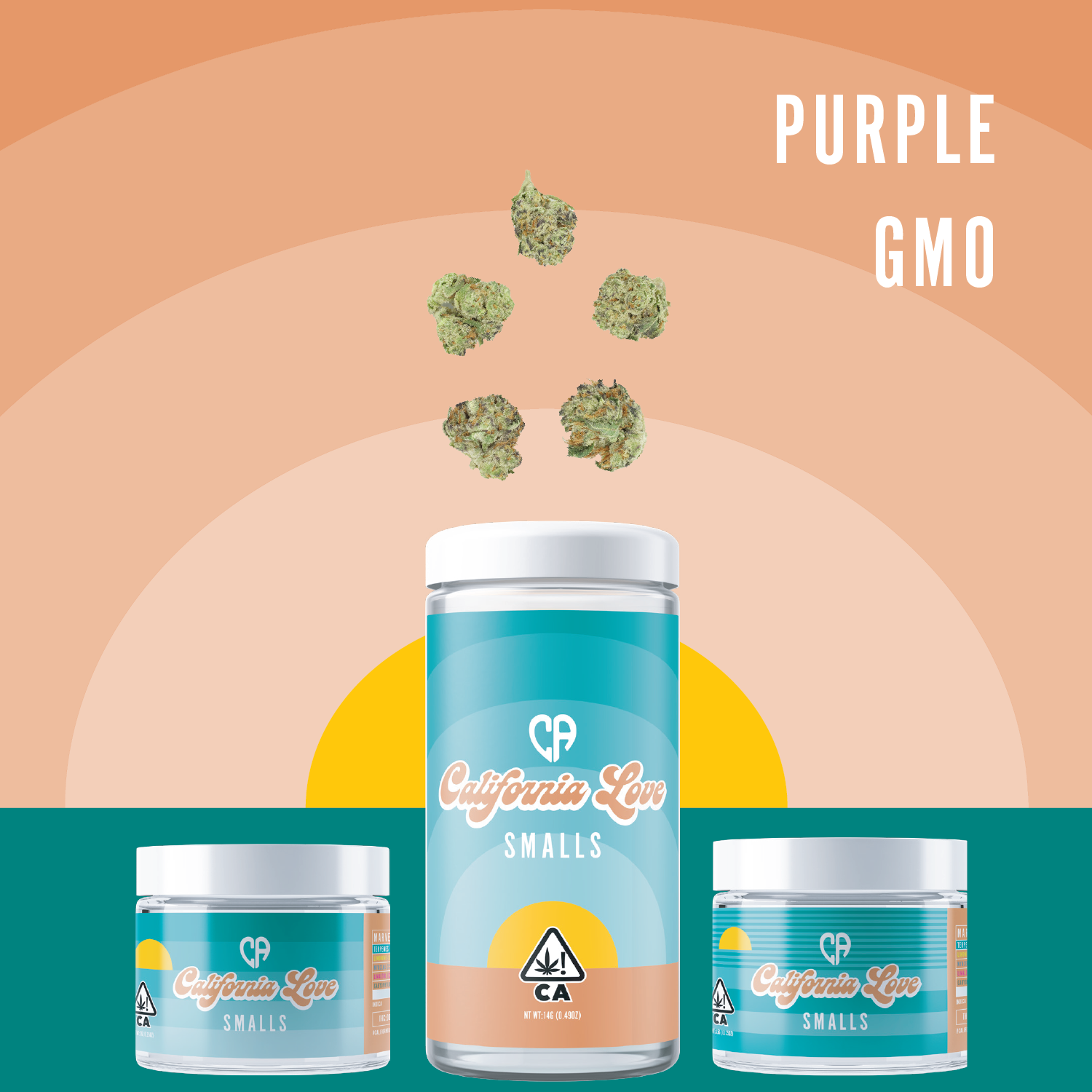 Purple Tangie Purple Tangie