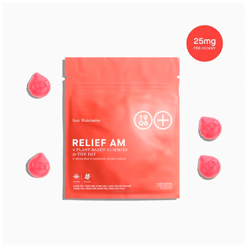 RELIEF AM for Pain